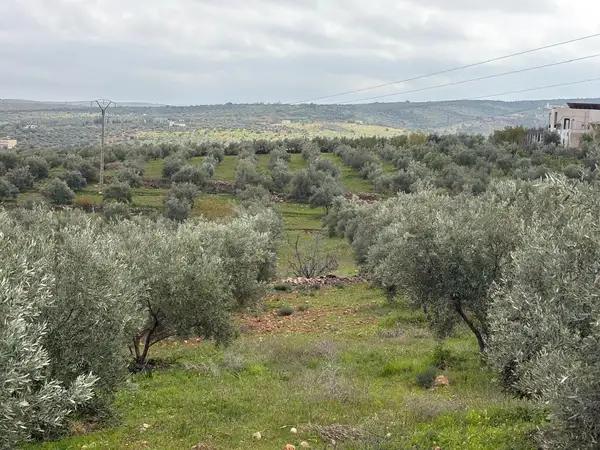 Ferme à vendre à Sefrou — 4 500 000 DH - Photo 15