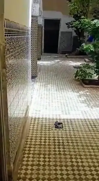 Maison 3 chambres à vendre à Seffah — 1 400 000 DH - Photo 5
